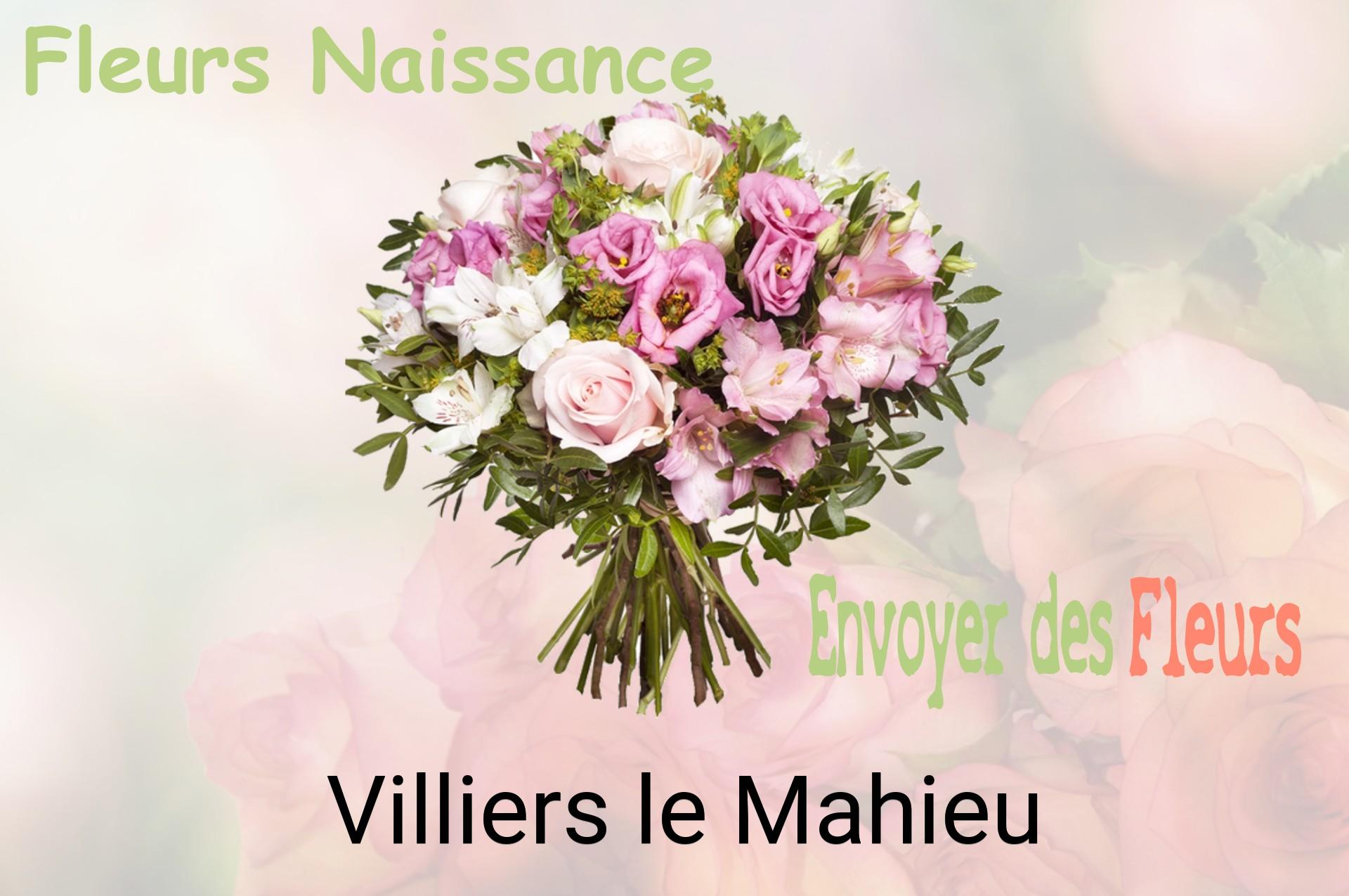 Bouquet de fleurs de naissance livré à Villiers-le-Mahieu