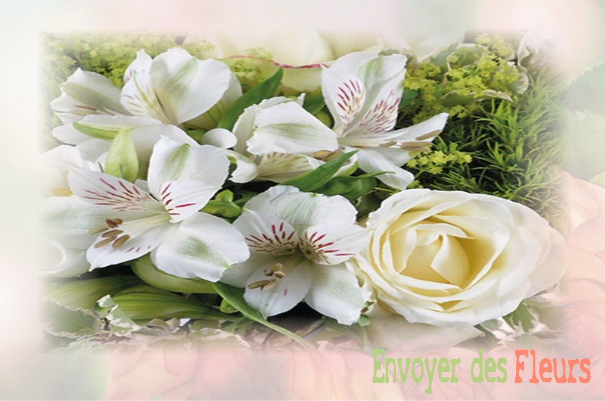 envoyer des fleurs à à VILLIERS-LE-MAHIEU