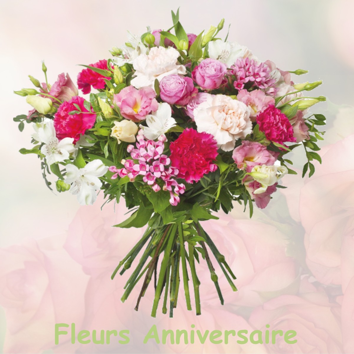 fleurs anniversaire VILLIERS-LE-MAHIEU