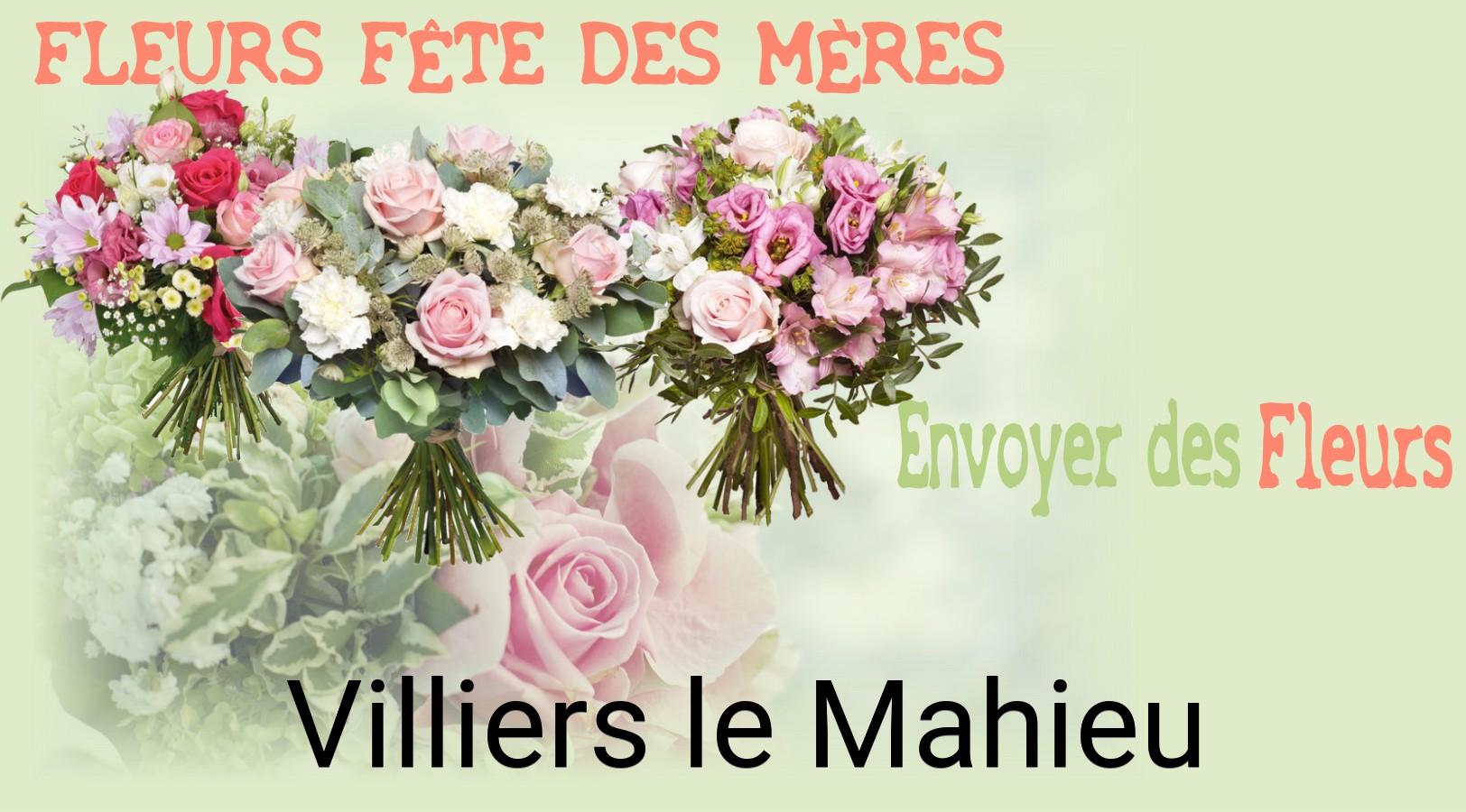 Bouquet de Fête des Mères livré à Villiers-le-Mahieu